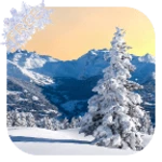 winter live wallpaper android application logo